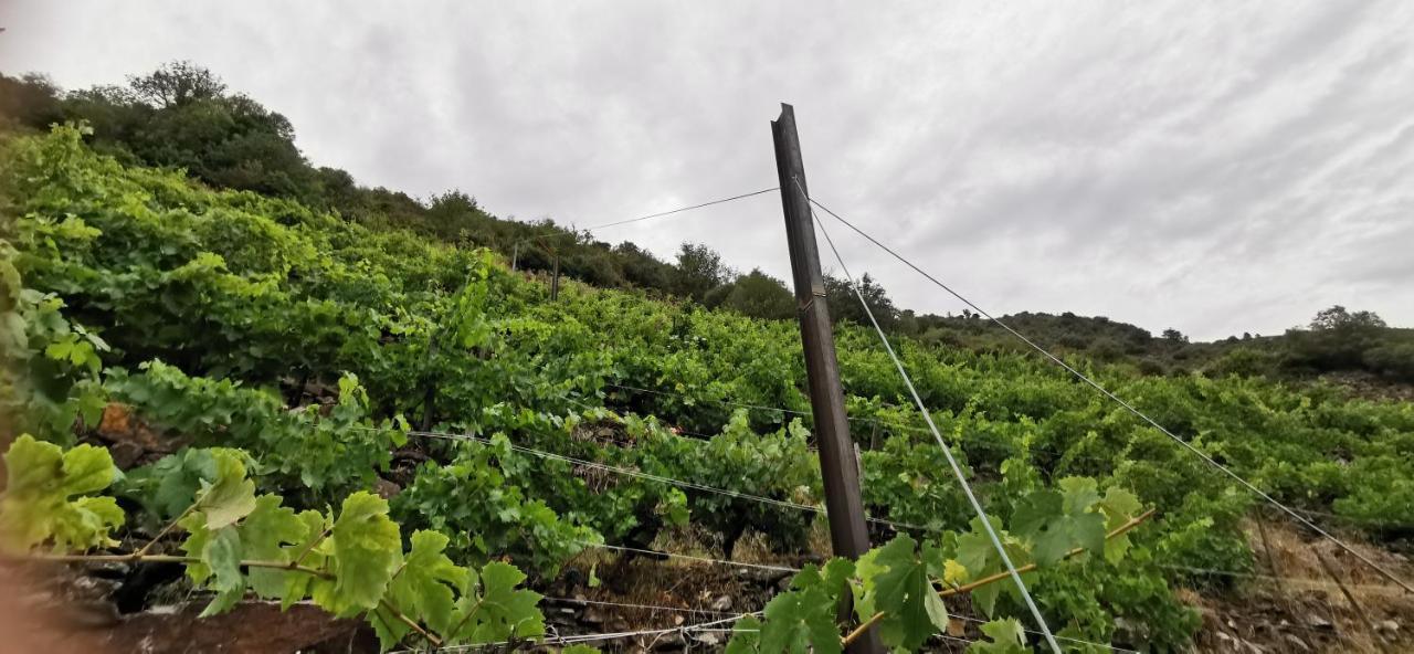 Vila Vina Cazoga Sober Exteriér fotografie