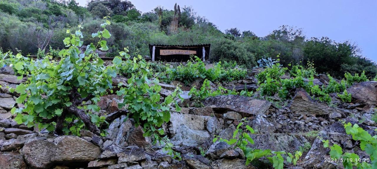 Vila Vina Cazoga Sober Exteriér fotografie